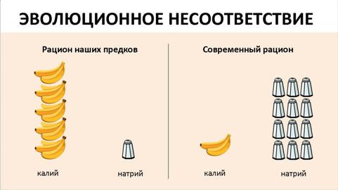 Пентокан устраняет недостаток калия